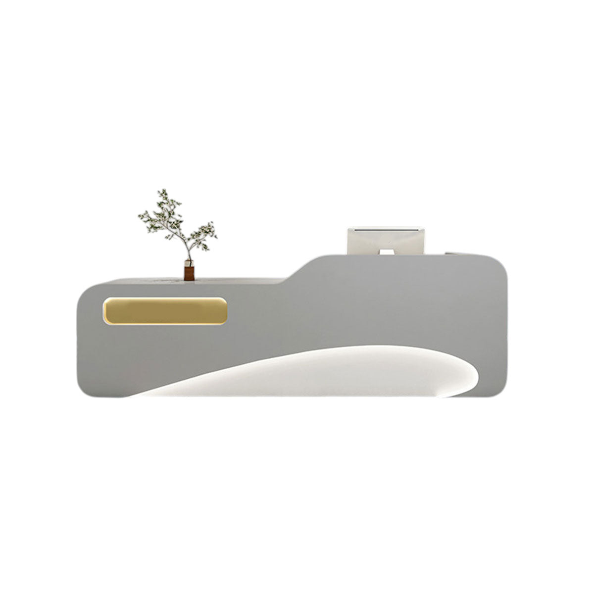 Luxury Modern Reception Desk & Front Desk Clinic Salon Boutique Store Cashier Desk