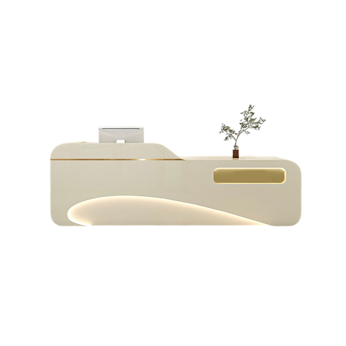 Luxury Modern Reception Desk & Front Desk Clinic Salon Boutique Store Cashier Desk