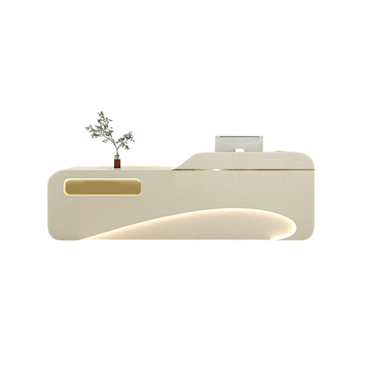 Luxury Modern Reception Desk & Front Desk Clinic Salon Boutique Store Cashier Desk