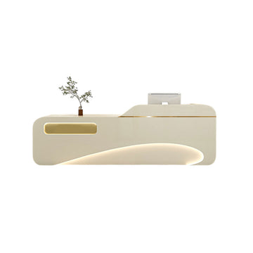 Luxury Modern Reception Desk & Front Desk Clinic Salon Boutique Store Cashier Desk