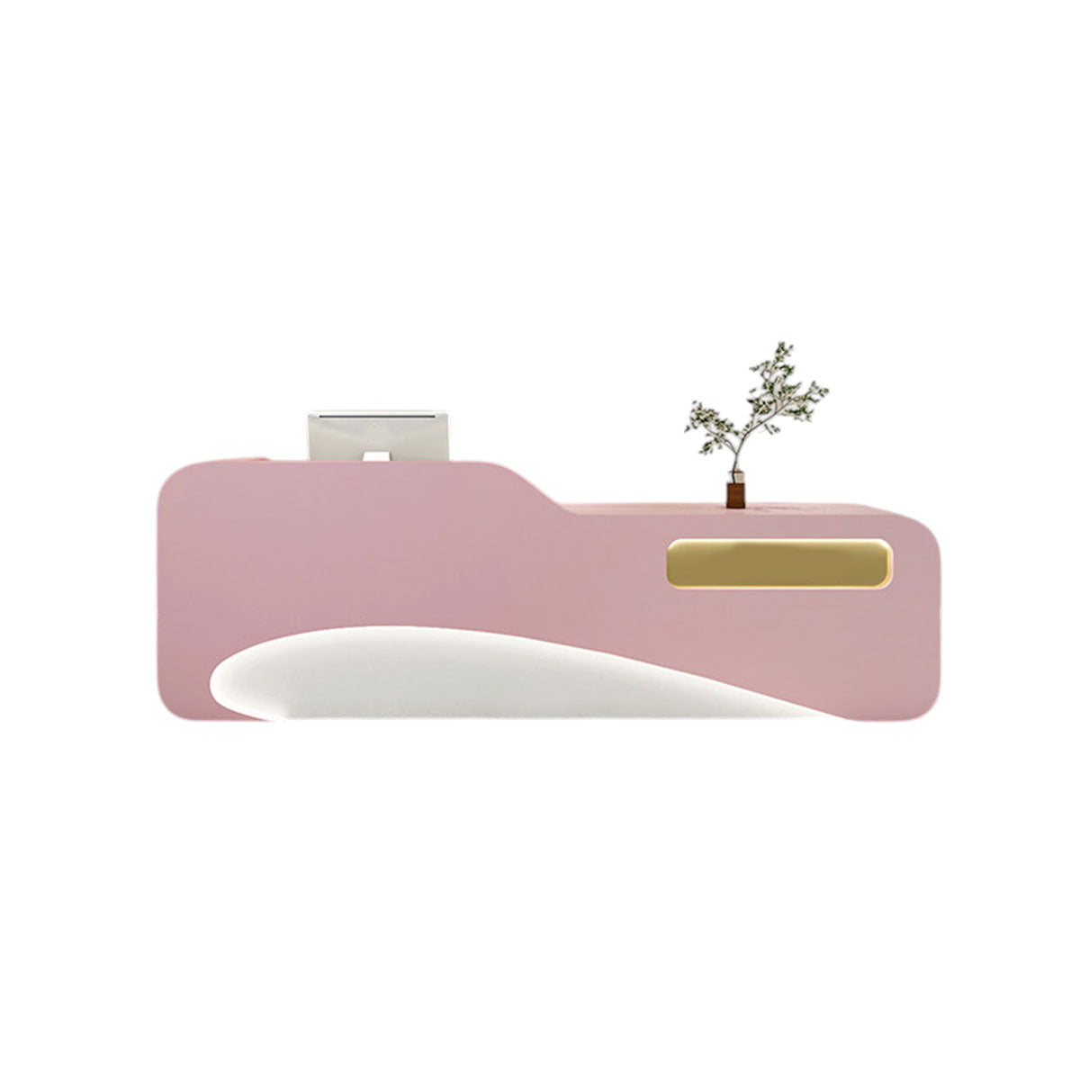 Luxury Modern Reception Desk & Front Desk Clinic Salon Boutique Store Cashier Desk