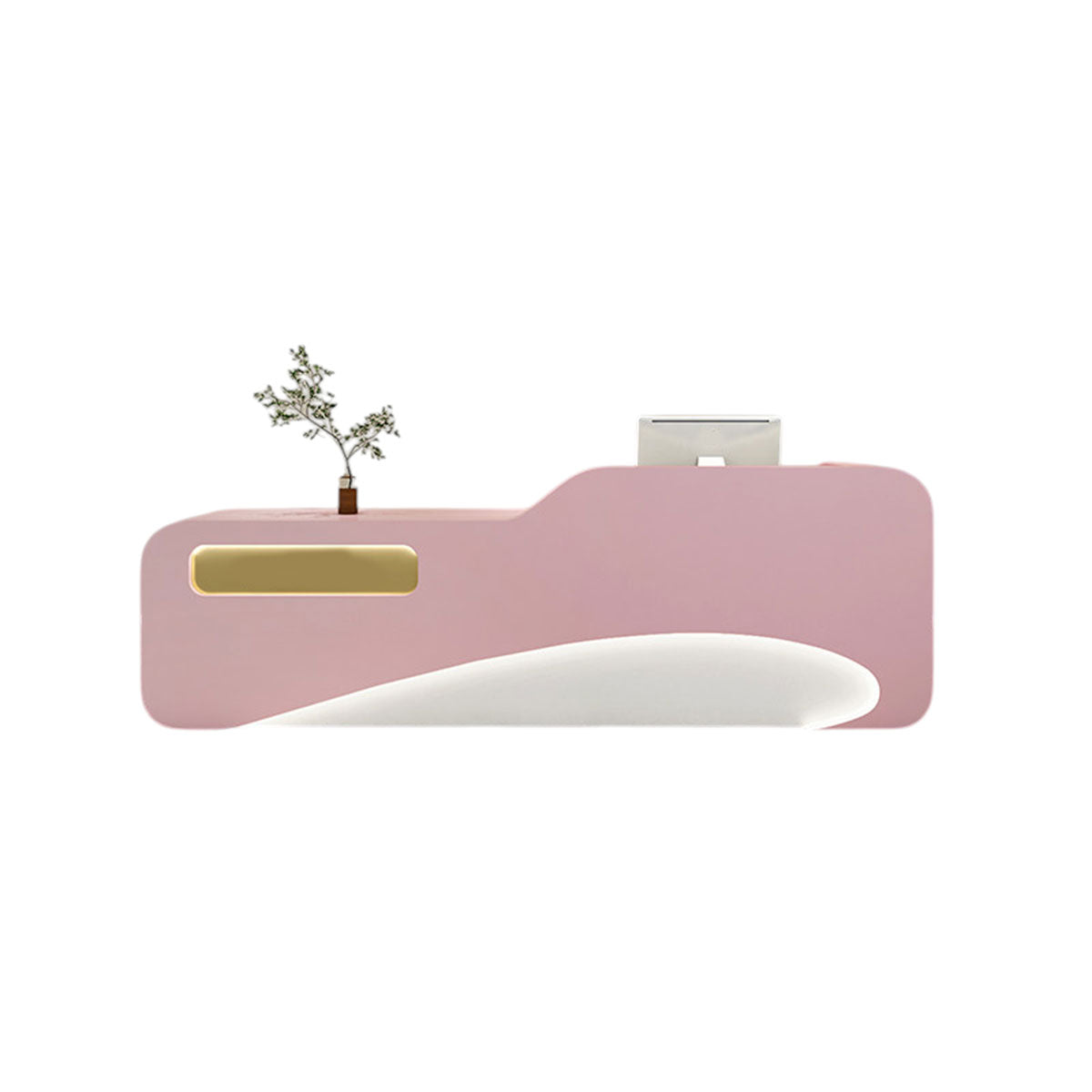 Luxury Modern Reception Desk & Front Desk Clinic Salon Boutique Store Cashier Desk